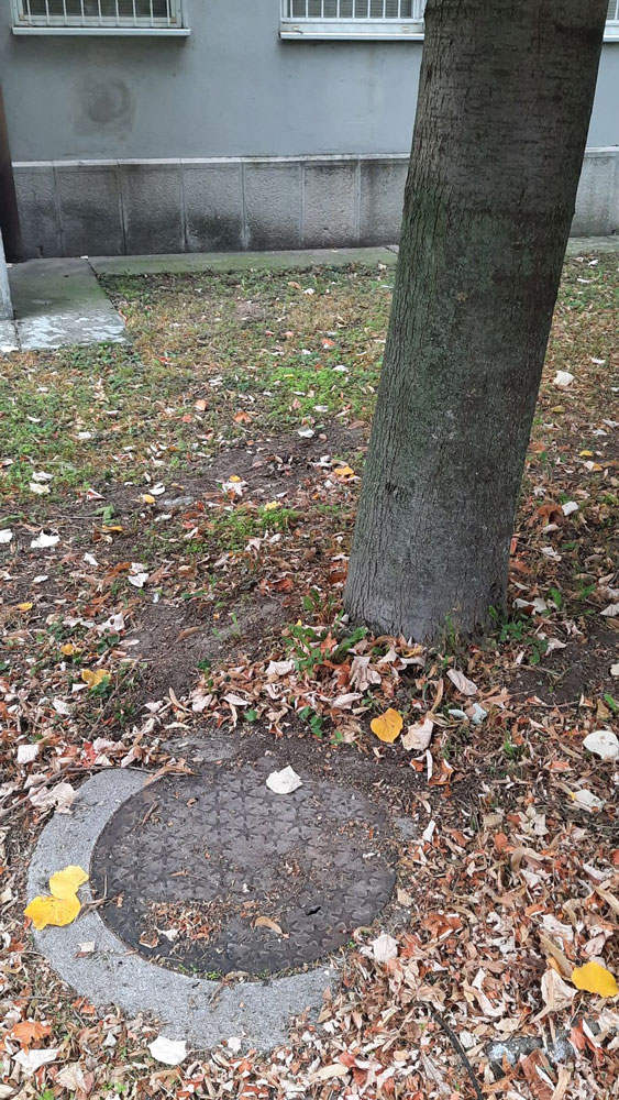 -lakossagi-fakivagas-kiskunhalas-zoldkozossegert-egyesulet-