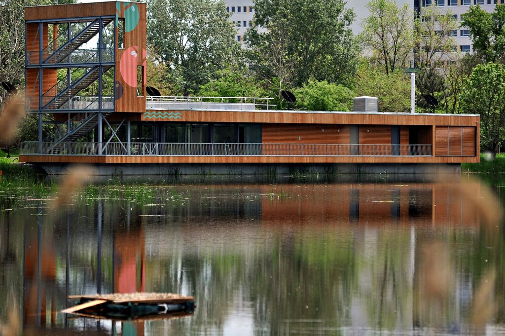 -mocsarciprus-csetenyi-park-kiskunhalas-zold-kozossegert-